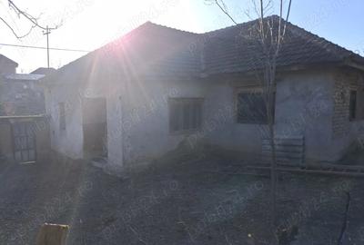 Casă cu 3 camere cu Teren 1400 Mp în Vintere - 5