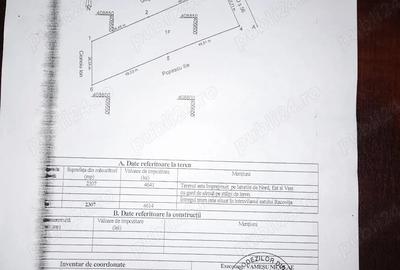 Teren de 2300 mp, în Polovragi - 5