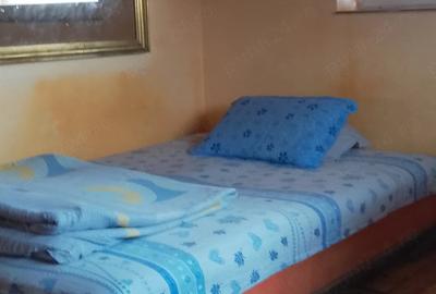Casă cu Teren 300 Mp în Brătianu