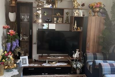 Casă cu 2 camere în Dosu Bricii - 4