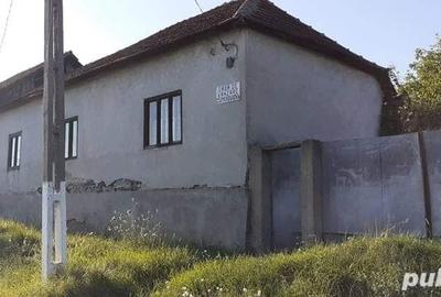 Teren de 2700 mp, în Tăgădău - 4