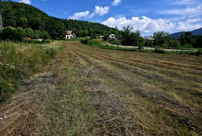 Teren Construcții intravilan de 600 mp, în Viișoara