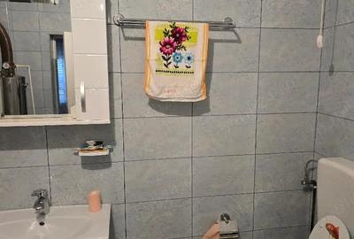 Casă cu 3 camere cu Teren 2500 Mp în Pietroasa - 9