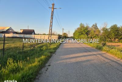 Teren de 3533 mp, în Poiana Lacului