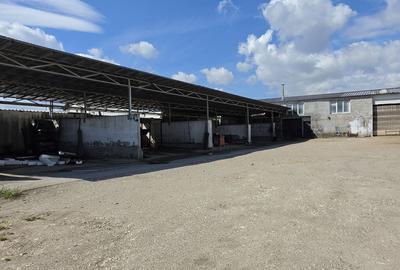 Spațiu industrial, de 450 mp, în Sânpetru - 7