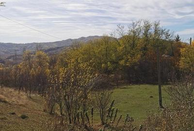 Teren de 2500 mp, în Vitioara de Sus