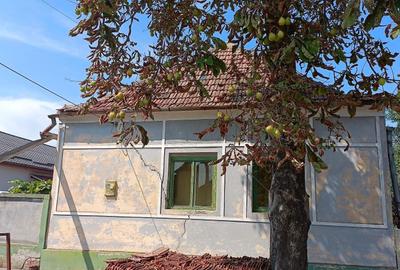 Casă cu 4 camere în Exterior Vest