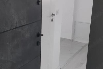 Garsonieră nedecomandată în Vișan - 1