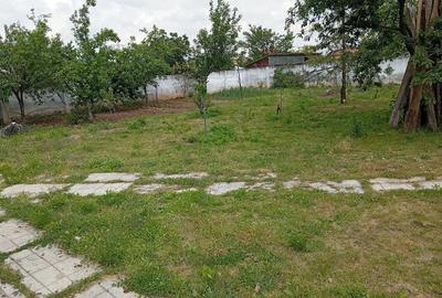 Casă cu Teren 1500 Mp în Mircea Vodă - 10