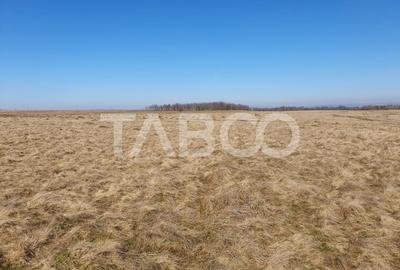 Teren agricol extravilan de 600 mp, în Gura Văii - 1