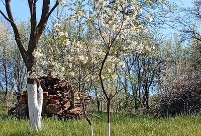 Teren de 2400 mp, în Cristorel