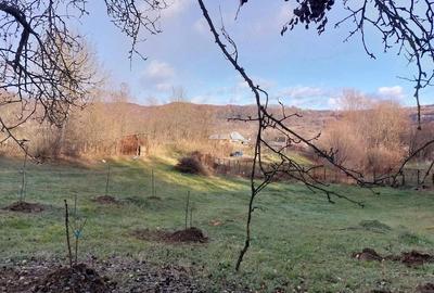 Teren de 3357 mp, în Valea Iașului - 8