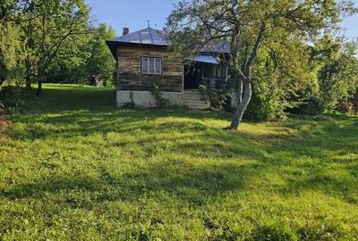 Casă cu 4 camere cu Teren 3000 Mp în Central - 5