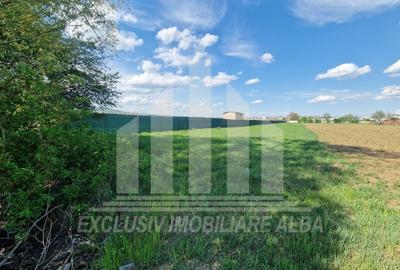 Teren agricol extravilan de 2600 mp, în Partoș - 3