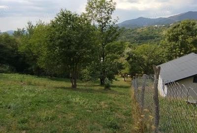 Teren de 3000 mp, în Posada