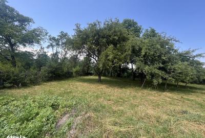 Casă cu 2 camere în Păpăuți
