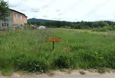 Teren de 3055 mp, în Bujoreni