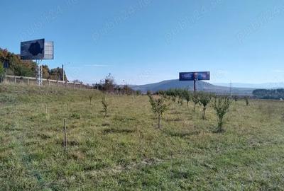 Teren de 12300 mp, în Crainimăt - 7