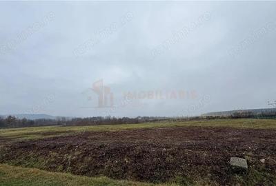 Teren de 101 mp, în Tăuții-Măgherăuș - 3