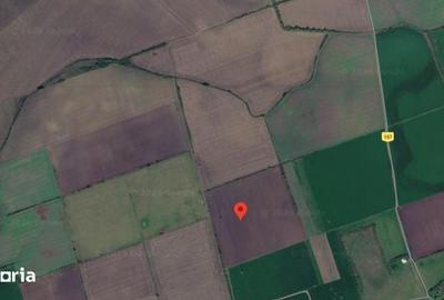 Teren de 5800 mp, în Avrămeni - 2
