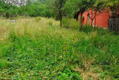 Casă individuală cu 2 camere cu Teren 991 Mp în Soveja - 9