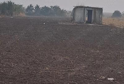 Teren de 2500 mp, în Ogrezeni - 5