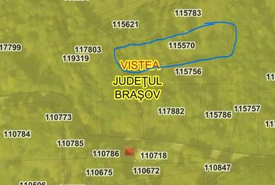 Teren de 4900 mp, în Viștișoara - 2