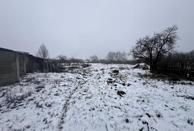 Teren Construcții intravilan de 1740 mp, în Dudeștii Noi - 7