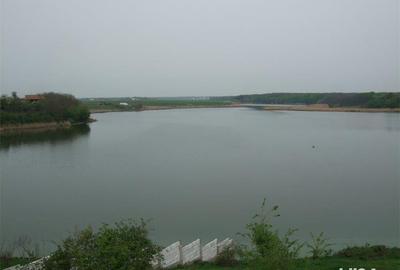 Teren de 3001 mp, în Grădiștea - 4