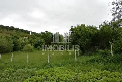 Teren de 994 mp, în Budiu Mic - 1