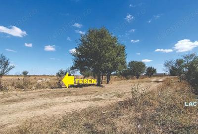 Teren de 4400 mp, în Gruiu - 2