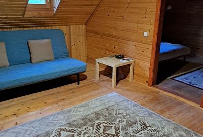 Teren în Băile Chirui - 3