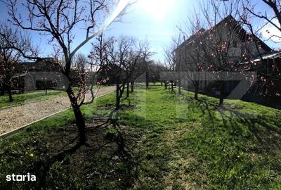 Teren de 5300 mp, în Voinești - 4