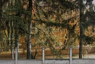 Apartament cu 3 camere decomandat în Zorilor