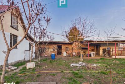 Casă cu 7 camere cu Teren 3141 Mp în Macea - 2