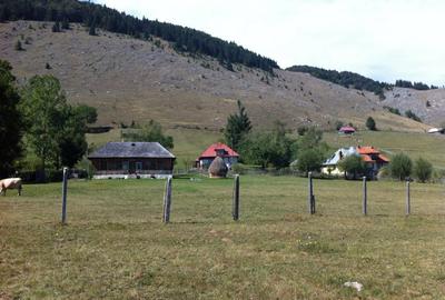Teren Construcții intravilan de 1500 mp, în Șirnea - 6