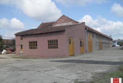 Spațiu industrial, de 7,000 mp, în Sânnicolau Mic - 14