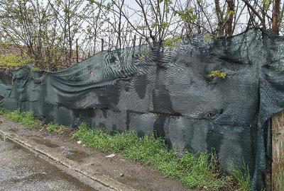 Teren de 300 mp, în Lazu - 1