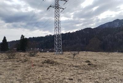Teren de 346 mp, în Cumpătu - 3