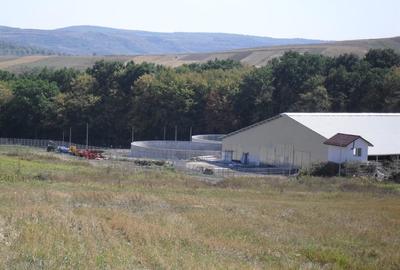 Spațiu industrial, de 11,600 mp, în Dej - 11