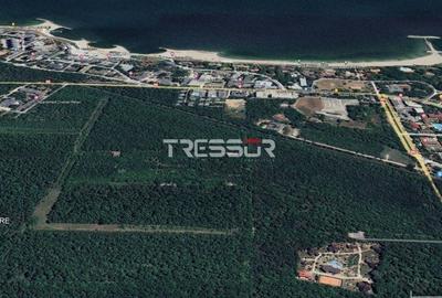 Teren Construcții extravilan de 532 mp, în Sud - 7