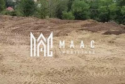 Teren de 3000 mp, în Albac - 4