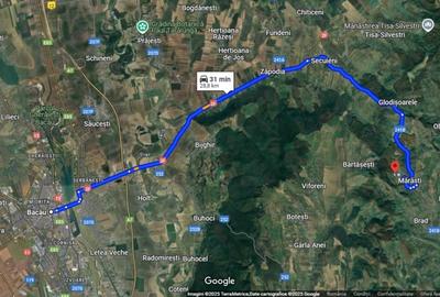 Teren agricol extravilan de 35000 mp, în Filipeni - 2