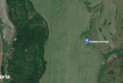Teren de 15900 mp, în Probota