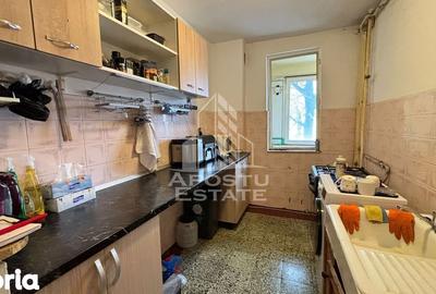 Apartament cu 3 camere decomandat în Iosefin - 3