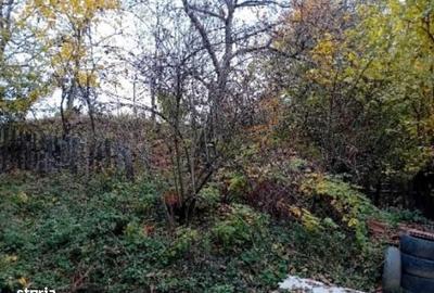 Casă cu 2 camere în Dobriceni - 1
