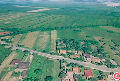 Teren de 1000 mp, în Viperești