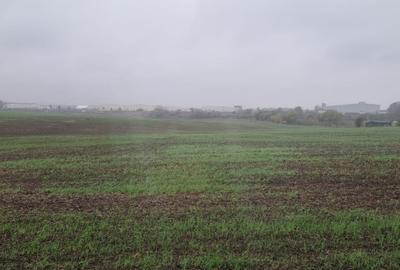 Teren în Pantelimon - 1
