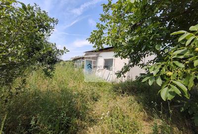 Teren agricol extravilan de 11000 mp, în Neajlovu - 8
