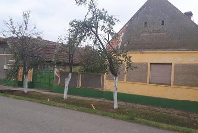 Casă cu 5 camere cu Teren 3307 Mp în Izvin